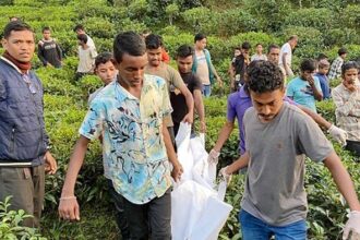 চা বাগানে গাছে ঝুলছিল যুবক-যুবতীর মরদেহ , পারিবারিক কলহের ধারণা পুলিশের 18 চা বাগানে গাছে ঝুলছিল যুবক-যুবতীর মরদেহ , পারিবারিক কলহের ধারণা পুলিশের - Surma Times | Sylhet News
