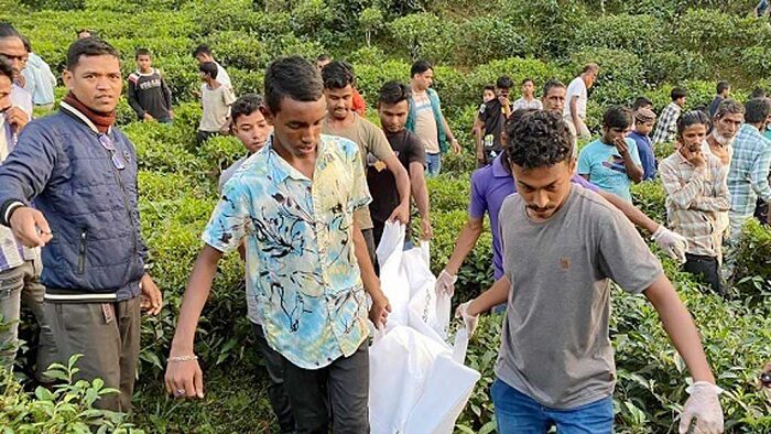 চা বাগানে গাছে ঝুলছিল যুবক-যুবতীর মরদেহ , পারিবারিক কলহের ধারণা পুলিশের 1 চা বাগানে গাছে ঝুলছিল যুবক-যুবতীর মরদেহ , পারিবারিক কলহের ধারণা পুলিশের - Surma Times | Sylhet News
