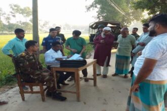 চুনারুঘাটে রাতের আঁধারে গাছ উজাড়, রাজনৈতিক ছত্রছায়ার অভিযোগ - Surma Times | Sylhet News