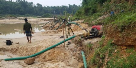 চুনারুঘাটে রাতের আঁধারে গাছ উজাড়, রাজনৈতিক ছত্রছায়ার অভিযোগ - Surma Times | Sylhet News