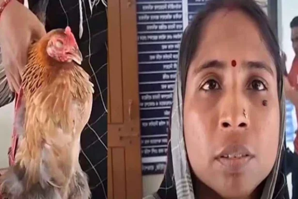 মুরগি নিয়ে থানায় গৃহবধূ, বিচার চাইলেন ভাসুরের বিরুদ্ধে 161 মুরগি নিয়ে থানায় গৃহবধূ, বিচার চাইলেন ভাসুরের বিরুদ্ধে - Surma Times | Sylhet News