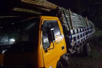 দিনারপুর হিল রিজার্ভে চোরাই বাঁশসহ দুই ট্রাক আটক 20 দিনারপুর হিল রিজার্ভে চোরাই বাঁশসহ দুই ট্রাক আটক - Surma Times | Sylhet News