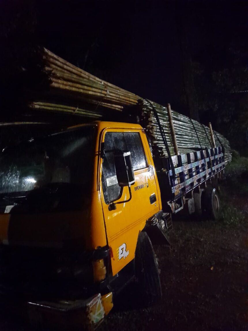 দিনারপুর হিল রিজার্ভে চোরাই বাঁশসহ দুই ট্রাক আটক 1 দিনারপুর হিল রিজার্ভে চোরাই বাঁশসহ দুই ট্রাক আটক - Surma Times | Sylhet News