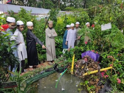 সিলেট বিভাগীয় বৃক্ষমেলার আকর্ষণ লক্ষ টাকার ফলজ গাছ রামবুতান - Surma Times | Sylhet News