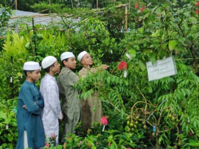 সিলেট বিভাগীয় বৃক্ষমেলার আকর্ষণ লক্ষ টাকার ফলজ গাছ - Surma Times | Sylhet News