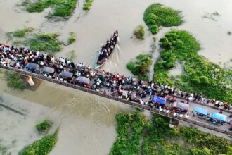 সুনাই নদীতে শেষবারের মতো নৌকাবাইচ ২৮ আগস্ট 10 সুনাই নদীতে শেষবারের মতো নৌকাবাইচ ২৮ আগস্ট - Surma Times | Sylhet News