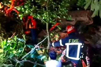 জৈন্তাপুরে এক্সকাভেটরের চাপায় চালকের মৃত্যু 18 জৈন্তাপুরে এক্সকাভেটরের চাপায় চালকের মৃত্যু - Surma Times | Sylhet News