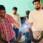 শ্রীমঙ্গলে খাটের নিচে ১৬ ফুট অজগর, আতঙ্কের রাত শেষে নিরাপদে উদ্ধার 4 শ্রীমঙ্গলে খাটের নিচে ১৬ ফুট অজগর, আতঙ্কের রাত শেষে নিরাপদে উদ্ধার - Surma Times | Sylhet News