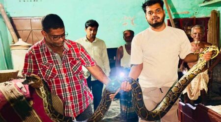 শ্রীমঙ্গলে খাটের নিচে ১৬ ফুট অজগর, আতঙ্কের রাত শেষে নিরাপদে উদ্ধার - Surma Times | Sylhet News