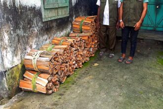 চুনারুঘাটে অবৈধ জ্বালানি কাঠ জব্দ, বনদস্যু চক্রের অভিযোগ 2 চুনারুঘাটে অবৈধ জ্বালানি কাঠ জব্দ, বনদস্যু চক্রের অভিযোগ - Surma Times | Sylhet News