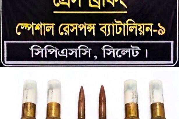 হরিপুরে জঙ্গল থেকে পরিত্যক্ত বিদেশি দোনলা বন্দুক ও লুটকৃত অ্যামুনিশন উদ্ধার - Surma Times | Sylhet News