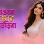 পরান মিউজিকে আসলো আবেগঘন লিরিক্যাল ভিডিও ‘যাও রে ভ্রমর উড়িয়া’