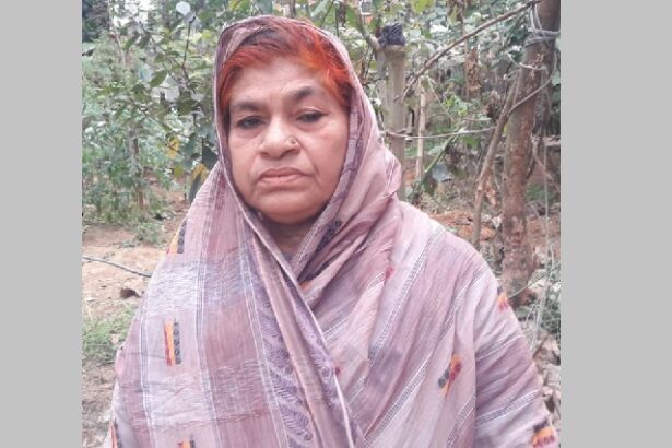 বীরাঙ্গনা স্বীকৃতির অপেক্ষায় থেকেই বিদায় জয়গুন নাহারের - Surma Times | Sylhet News